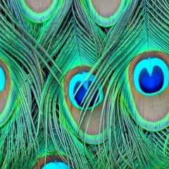 Зарина Кадырова, 30.09.1989, Актау