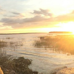 Георгий Гутовский, Санкт-Петербург