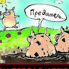 Виктор Сеничев, 03.11, Великий Новгород