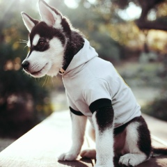 Руслан Игнатов, 29.04.2004, Гюмри