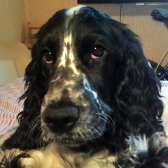 Arseniy Miracle, 02.07