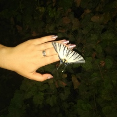 Наталья Сокальская, 19.09, Одесса