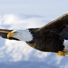 Виктория Петрова, 09.11.1989, Москва