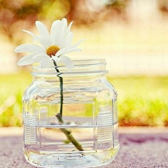 Ева Ю, 14.02.1991, Грозный