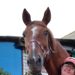 Екатерина Краузе, Сенгилей