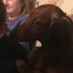 Сергей Чавычалов, 22.07.1986, Санкт-Петербург