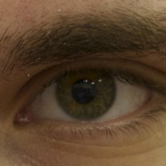 Борис Окунский, Курск