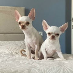 Юлия Трапезникова, 08.05.1990, Северодвинск