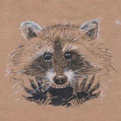 Александр Красноярский, Красноярск