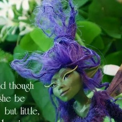 Water-Meter-Fairy Magical, 05.03.1916, Dublin