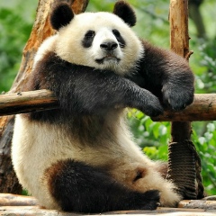 Трофим Юнов, 07.12.1981, Москва