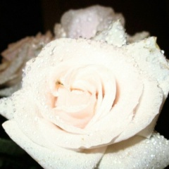 Екатерина Попова, 26.12, Санкт-Петербург