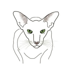 Олеся Царькова, 02.06, Екатеринбург