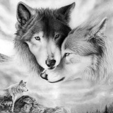 Эдуард Никонов, 08.09, Чебоксары