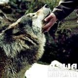 Oleg Cvetkov, 23.11, Москва