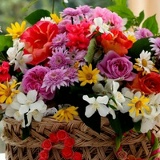 Ирина Федюкова, Челябинск