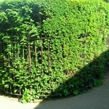 Наталья Агеева, 06.06.1977, Санкт-Петербург