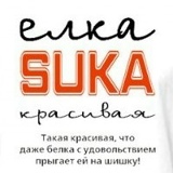 Иван Ёлкин, 07.04, Екатерининское