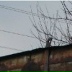 Алина4ка Цуман, Белгород