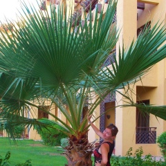 Мария Сабирова, 13.06, Ростов-на-Дону