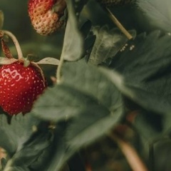 Виктория Исрафилова, 14.07.1989, Москва