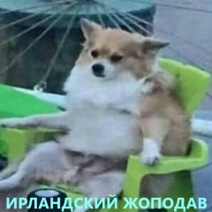 Андрей Хлебалов, 19.05.1988, Санкт-Петербург