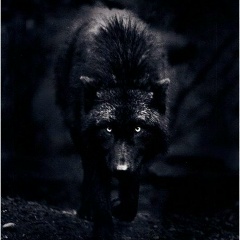 Евгений Музгунов, 06.10.1987, Элиста