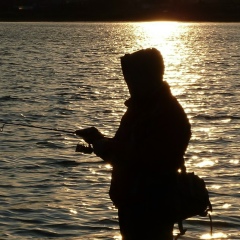 Анатолий Белов, 18.02.1986, Новосибирск