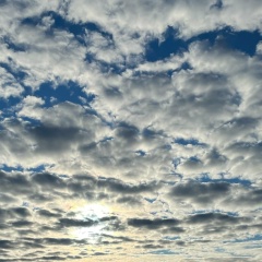 Роман Романов, Воронеж