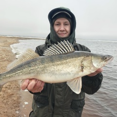 Алексей Чернов, 15.05.1994, Сургут