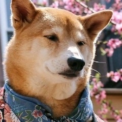 Руслан Ахметшин, 01.06.1998, Казань