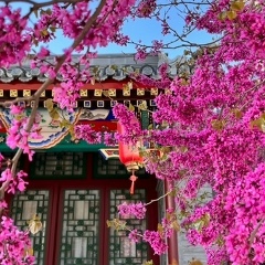 Ольга Доржиева, 30.07, Beijing