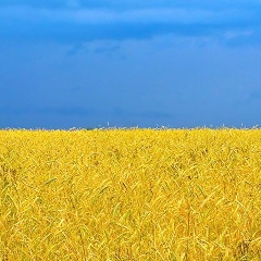 Ілона Пінькевіч