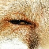 Марк Егоров, 12.03, Якутск