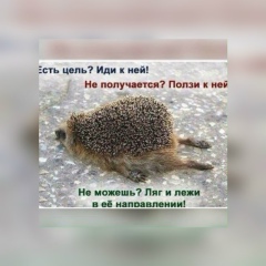 Айгера Керимова, 20.04, Шымкент