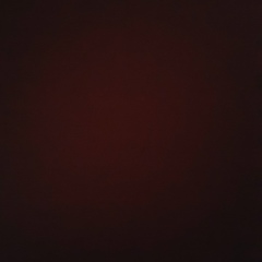 Султан Султанов, Санкт-Петербург