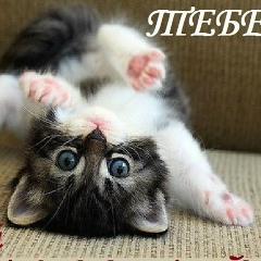 Marisha Pinchuk, 02.02