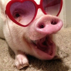 Iliya Iliyne, 05.07.1972, Bruxelles