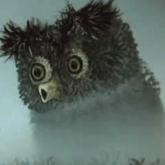 Макс Гуриненко, 29.04, Харьков