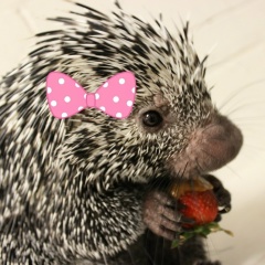 Людмила Нефёдова, 01.06, Москва