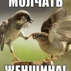 Дима Дима