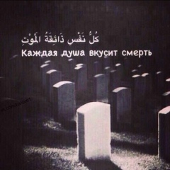 Ислам Шейхов, 09.08, Москва