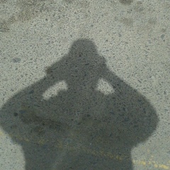 Андрей Андреев, Воронеж