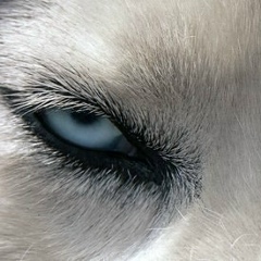 Ливан Абрамов, 12.09, Астрахань