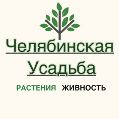 Наталья Терещенко, Челябинск