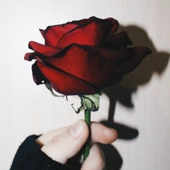 Аида Садетова, Караганда