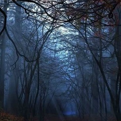 Айнура Мурзагулова, 23.12.1991