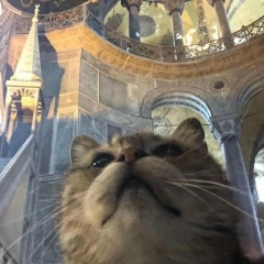 Тимур Базарбаев, Москва
