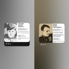 Алена Некрасова, Вологда