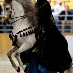 Патимат Нустафаева, 29.11.1973, Махачкала